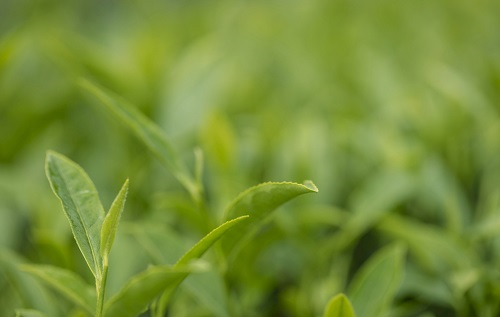 1644375635590167.png image.png