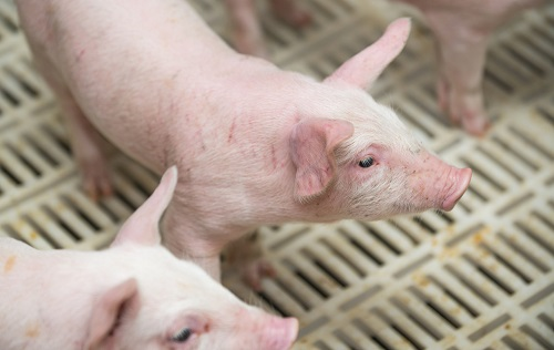 1646096175172670.png image.png