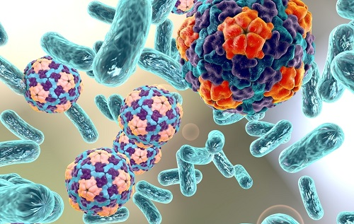 1651719983884615.png image.png