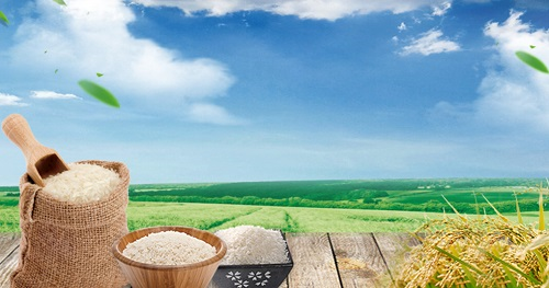 1655087257980211.png image.png