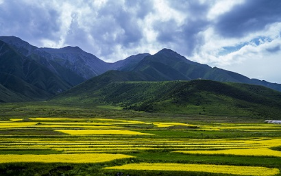 1660109859775405.png image.png