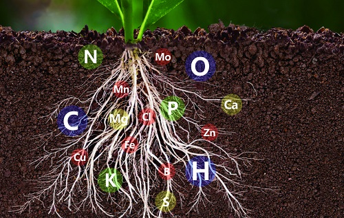 1661224557181861.png image.png