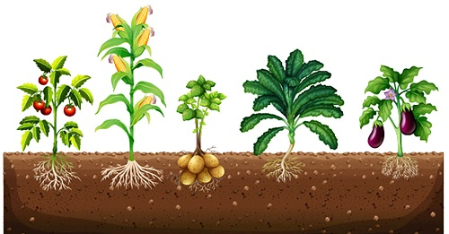 1662357903200748.png image.png