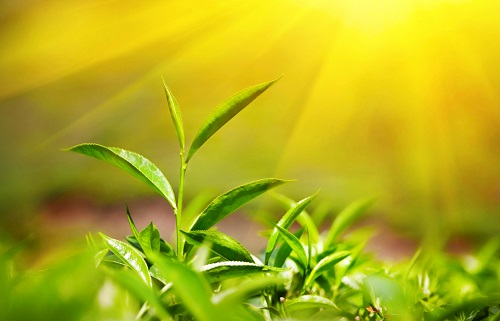 1663124225180990.png image.png