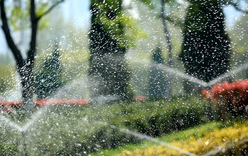 1663730707115180.png image.png