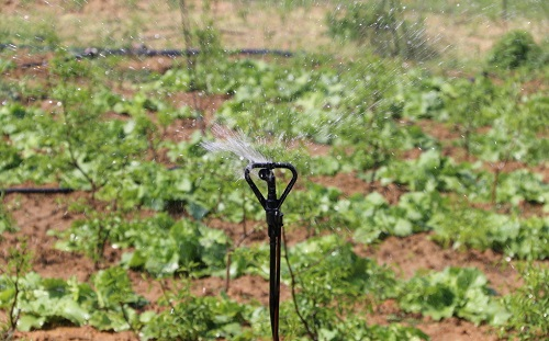 1663826561172523.png image.png