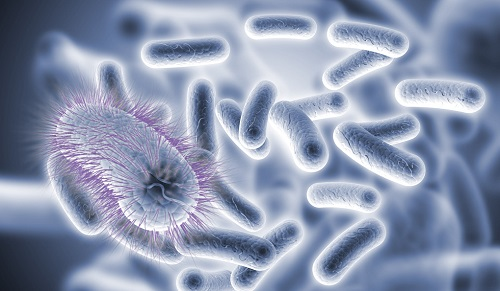 1666159618306228.png image.png