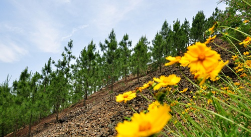 創(chuàng)造良好的土壤團(tuán)粒結(jié)構(gòu)，先用土壤團(tuán)粒結(jié)構(gòu)分析儀了解土壤實(shí)況