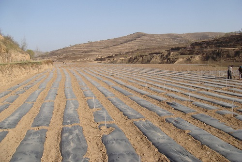 1667187627768441.png image.png