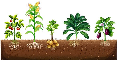 1667802426131055.png image.png