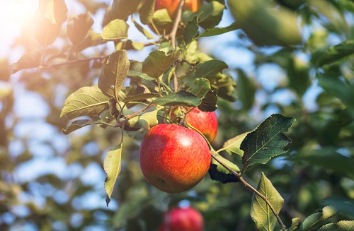 1669959174179866.png image.png