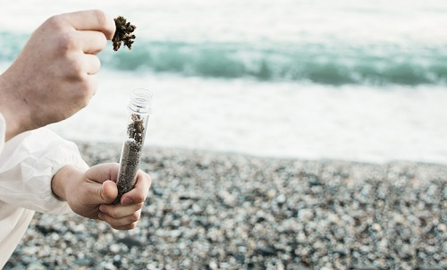 1670310113212330.png image.png