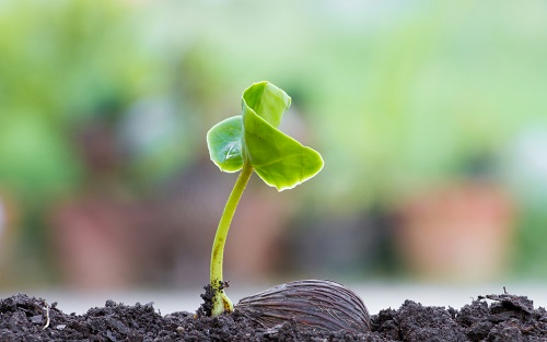 1672120784401319.png image.png