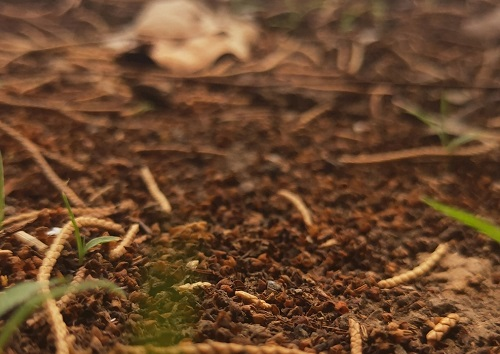 1677136357966480.png image.png