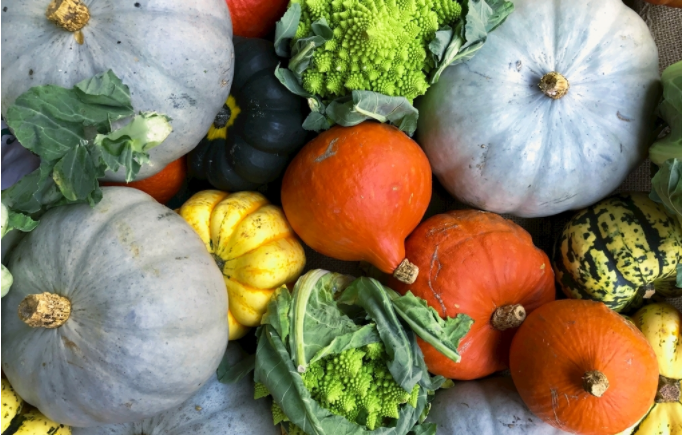 農(nóng)藥殘留測定儀是通過什么原理檢測的？