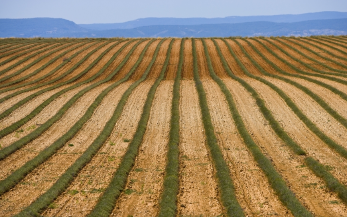 （國產(chǎn)）土壤養(yǎng)分檢測儀哪個牌子好？高智能土壤養(yǎng)分檢測儀哪家好？