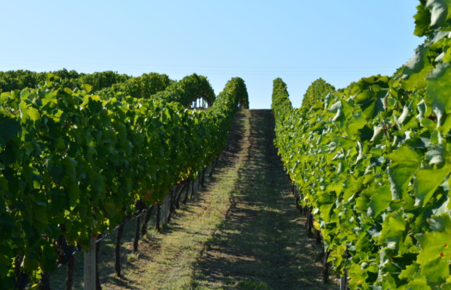 土壤團粒結(jié)構(gòu)是個什么概念？土壤團粒結(jié)構(gòu)分析儀測什么？