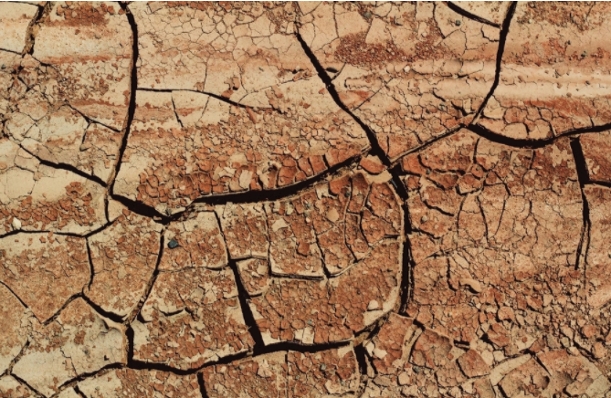 高智能土壤肥料養(yǎng)分速測儀有GPS定位功能嗎？（土壤肥料養(yǎng)分速測儀優(yōu)勢）