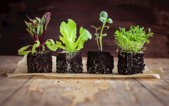 如何判斷土壤的好壞？土壤養(yǎng)分測量儀能否提供制定施肥方案？