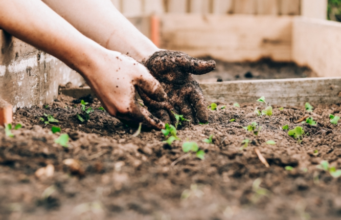 土壤墑情監(jiān)測系統(tǒng)與普通儀器對比有何優(yōu)勢？(土壤墑情監(jiān)測系統(tǒng)的作用)