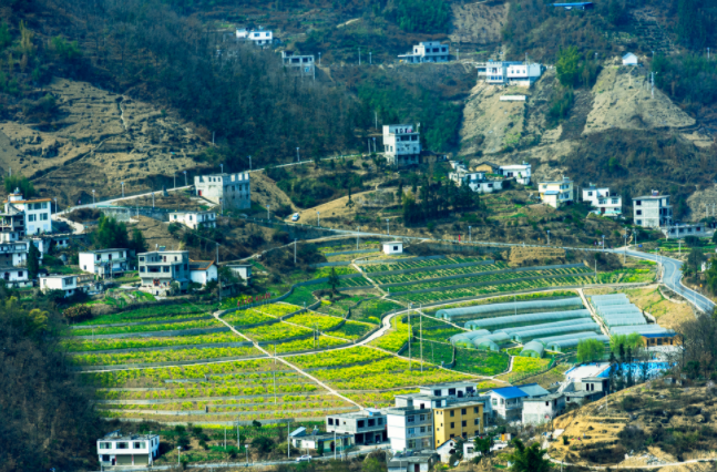 土壤墑情監(jiān)測(cè)系統(tǒng)在哪兒建站都行嗎？土壤墑情監(jiān)測(cè)系統(tǒng)的建站原則和選址要求