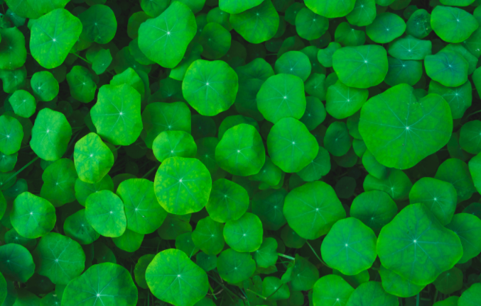 土壤緊實度儀使用后的維護(hù)工作非常重要，做到這五點就行