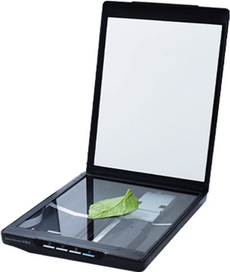 葉片圖像分析儀