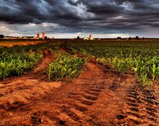 土壤農(nóng)殘量用農(nóng)藥殘留檢測設(shè)備檢測